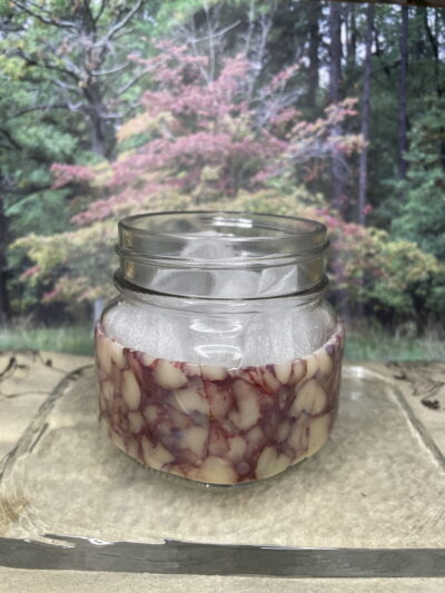 Limited Edition Polymer Clay Jar - Image 3